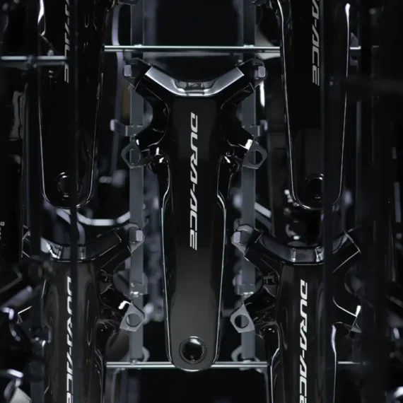 Shimano Enfrenta Queda Dramática nos Lucros